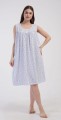 DSC01244-1.jpg
