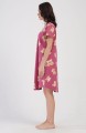 DSC00124.jpg